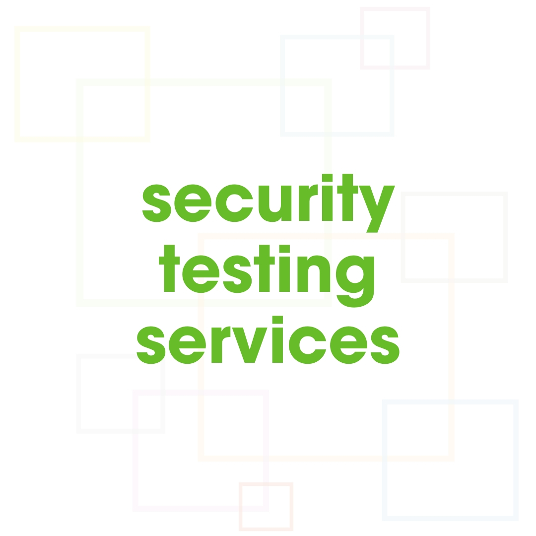 security-testing-services-netlogx