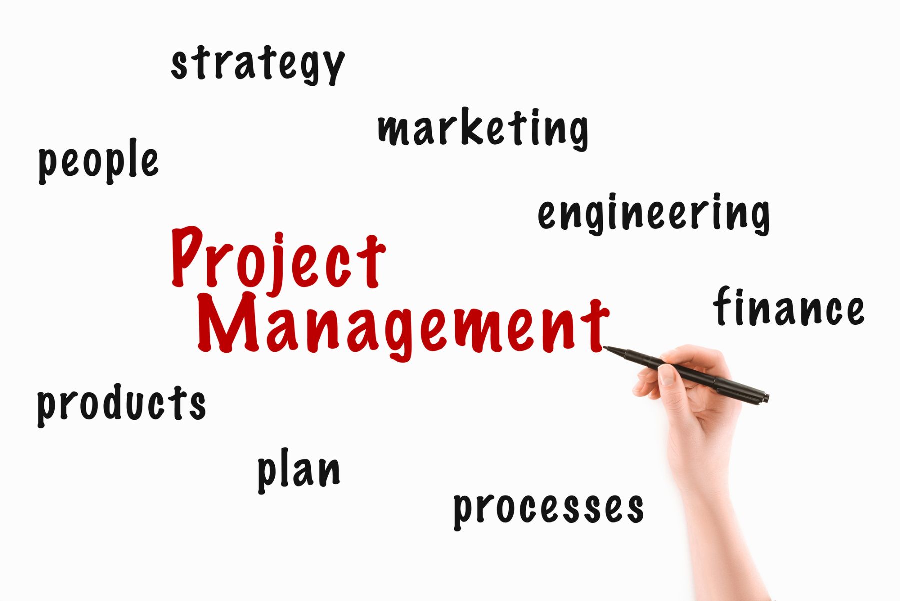 Project Management Duties