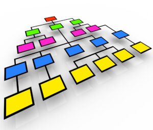 Organization chart with colored boxes