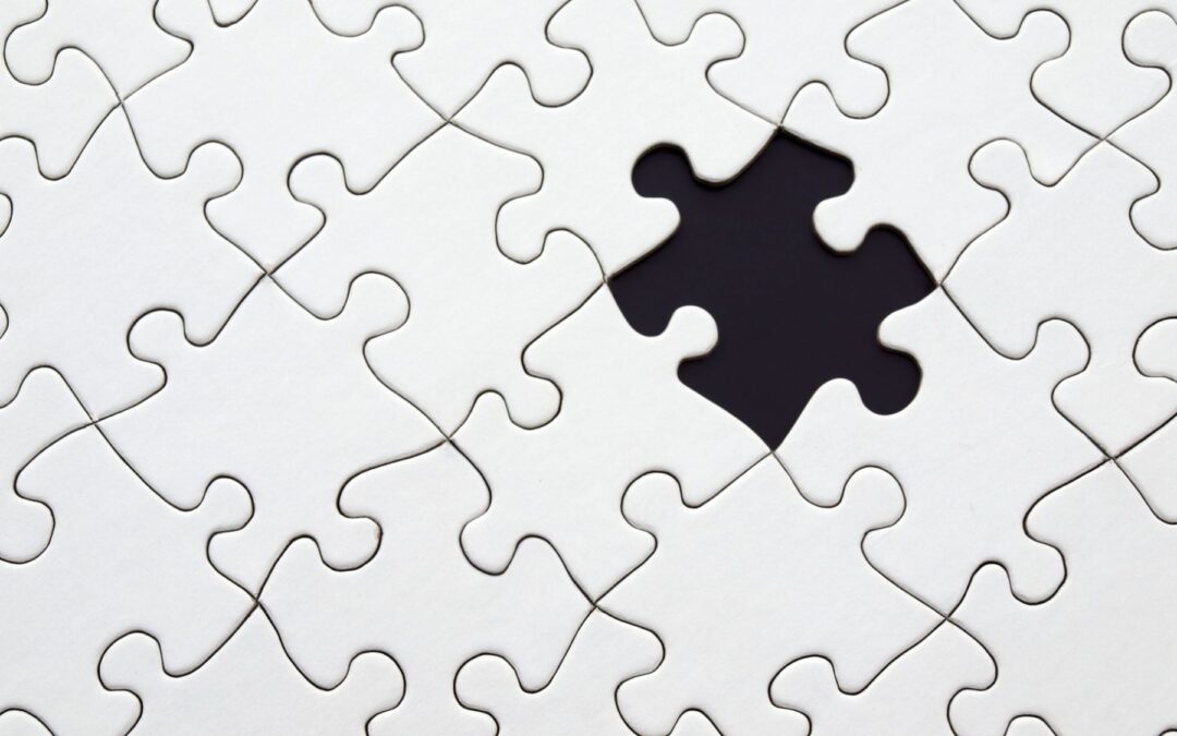 The Project Coordinator Puzzle Piece