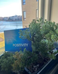 Positivity_Bonsi_Tree