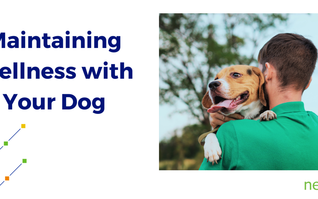 Maintaining Wellness with Your Dog