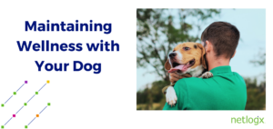 Maintaining Wellness with Your Dog