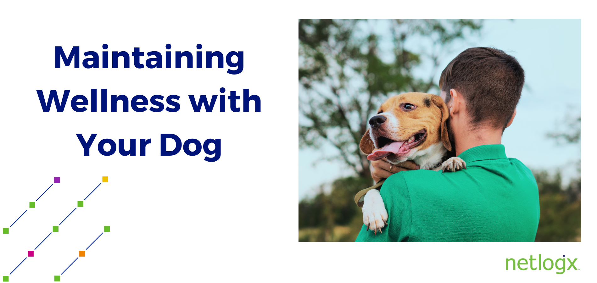 Maintaining Wellness with Your Dog