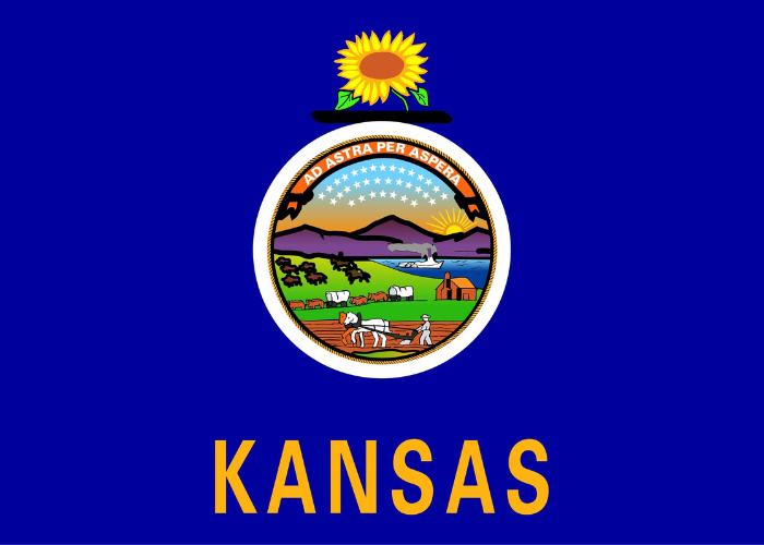 Kansas State Flag