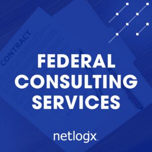 federal consulting services featured image